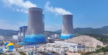 電廠如何用微藻固碳？