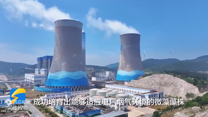 電廠如何用微藻固碳？