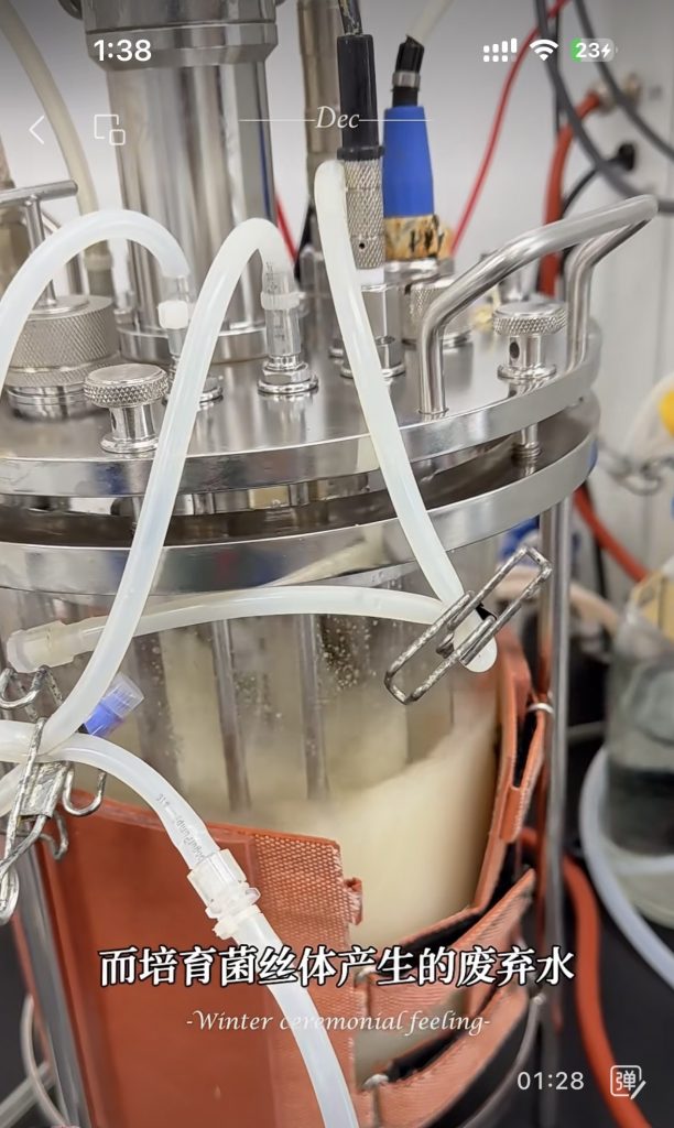 光語光反應(yīng)器微藻處理廢水實際案例