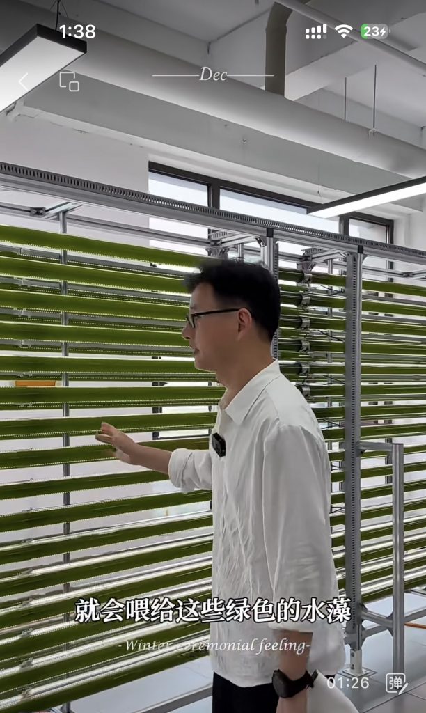 光語光反應(yīng)器微藻處理廢水實際案例