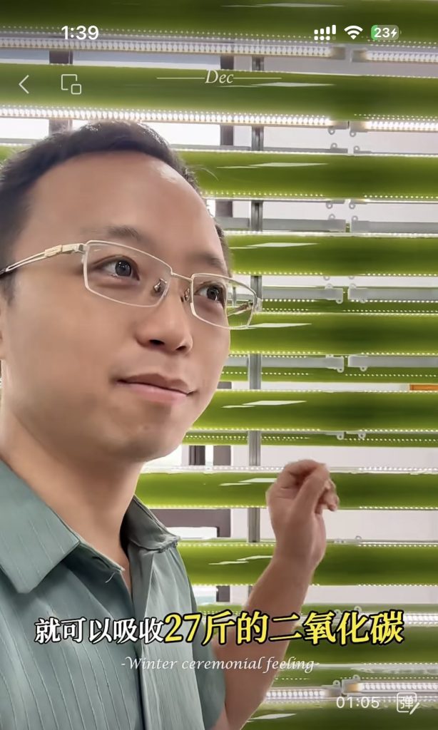 光語光反應(yīng)器微藻處理廢水實際案例