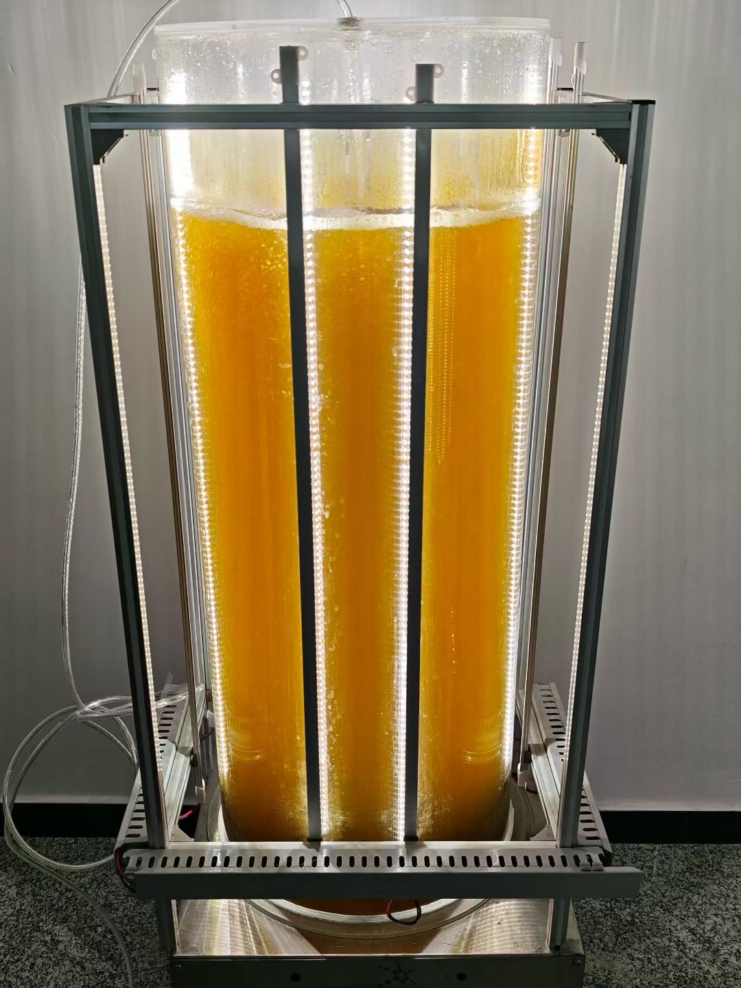 光語柱式反應(yīng)器?養(yǎng)三角褐指藻